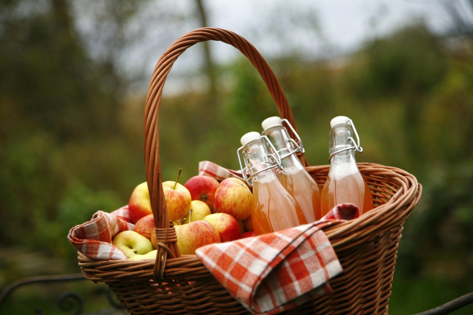 Paedaste Manor Amenities photo